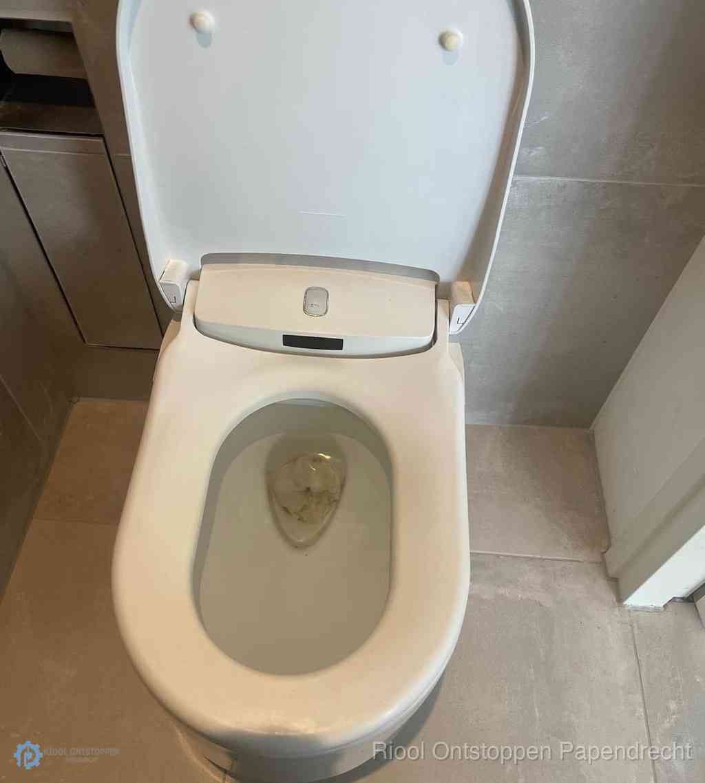 Toilet Ontstoppen Papendrecht